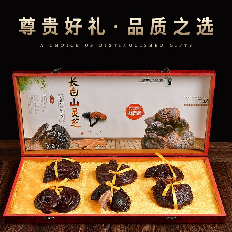 Northeast specialty red Ganoderma gift box wild Ganoderma purple Ganoderma