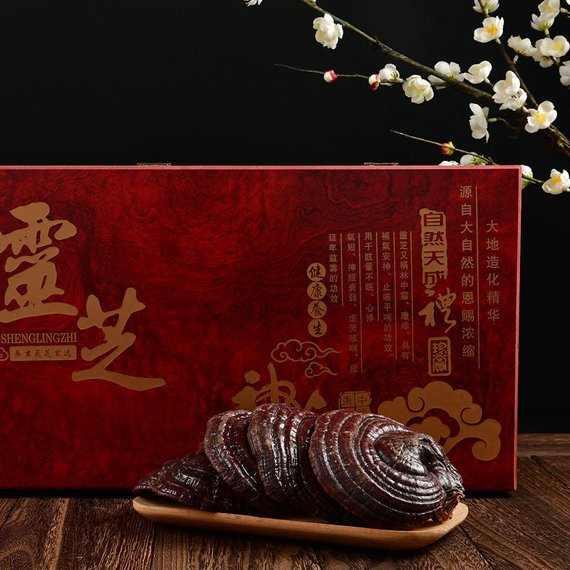 Northeast specialty red Ganoderma gift box wild Ganoderma purple Ganoderma