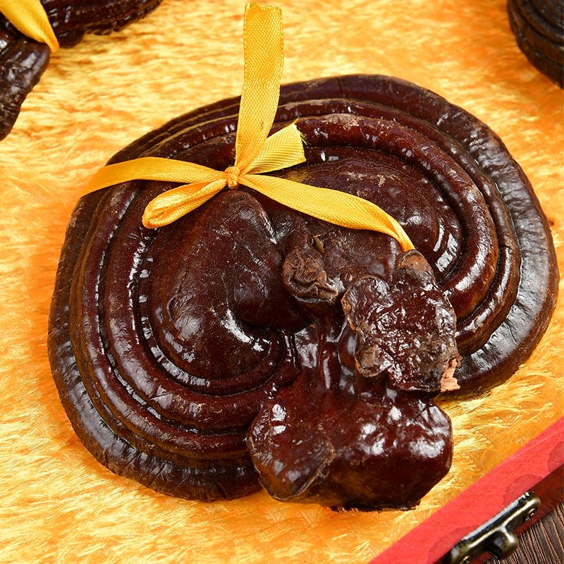 Northeast specialty red Ganoderma gift box wild Ganoderma purple Ganoderma