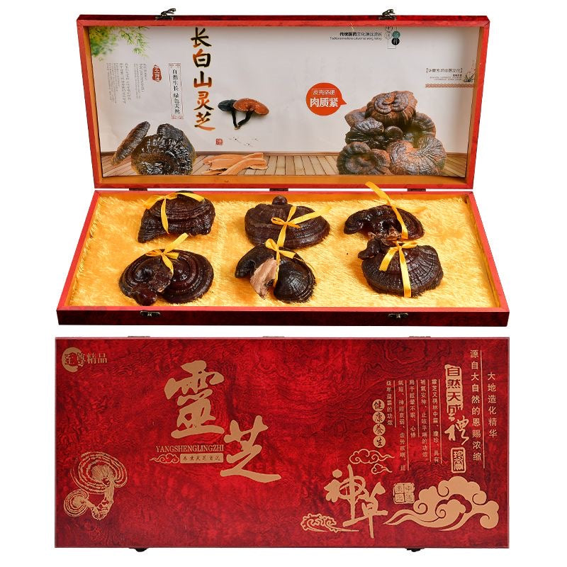 Northeast specialty red Ganoderma gift box wild Ganoderma purple Ganoderma