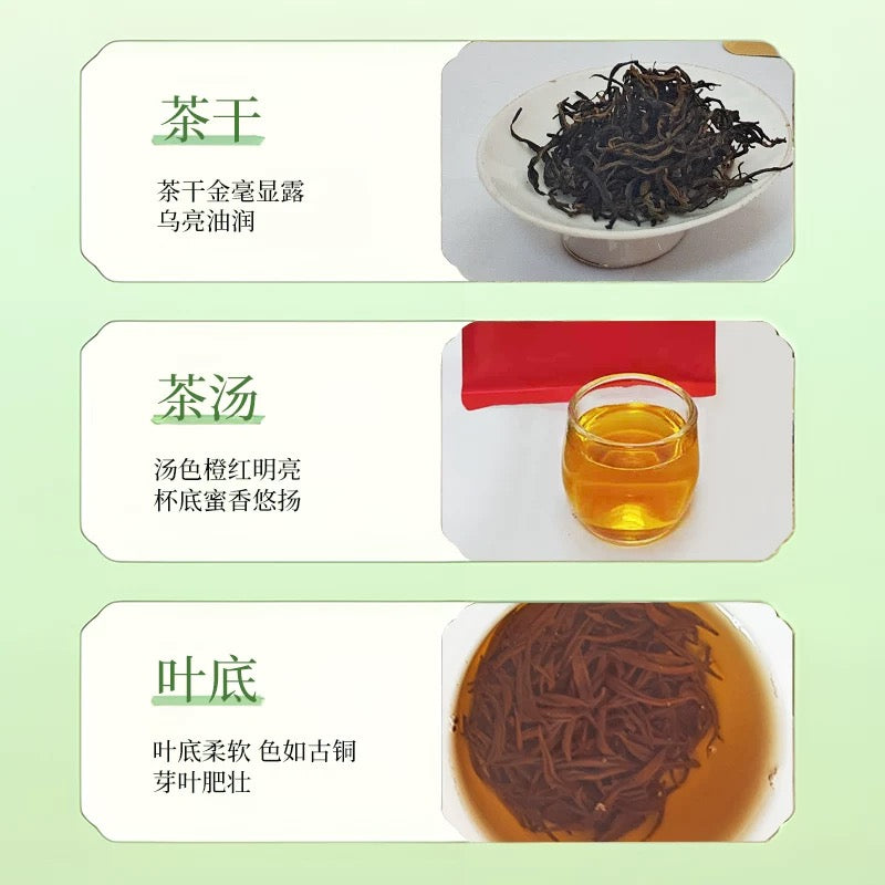 Guangxi Lingyun Baihao Spring Tea - New Tea from High Mountain Black Tea